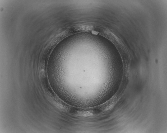 X0000064750553200602101215