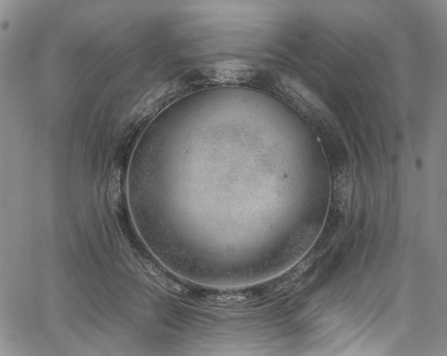 X0000064750554200602101215