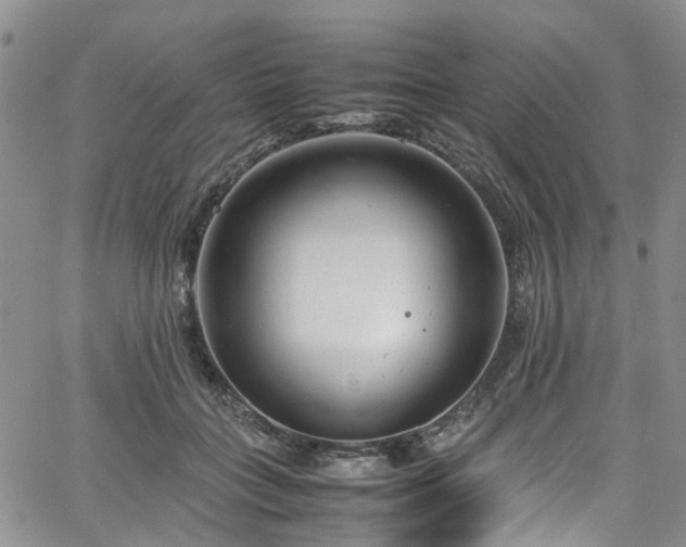 X0000064750555200602101215