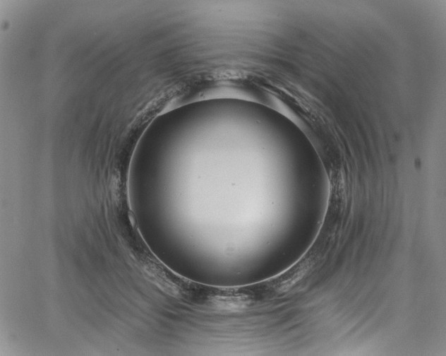 X0000064750556200602101215