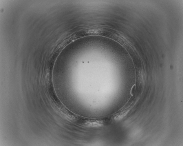 X0000064750557200602101215