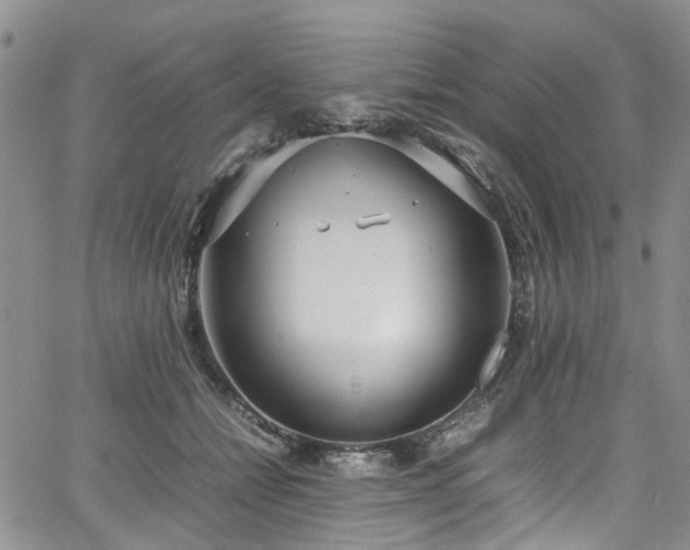 X0000064750558200602101215