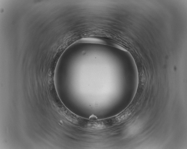 X0000064750559200602101215