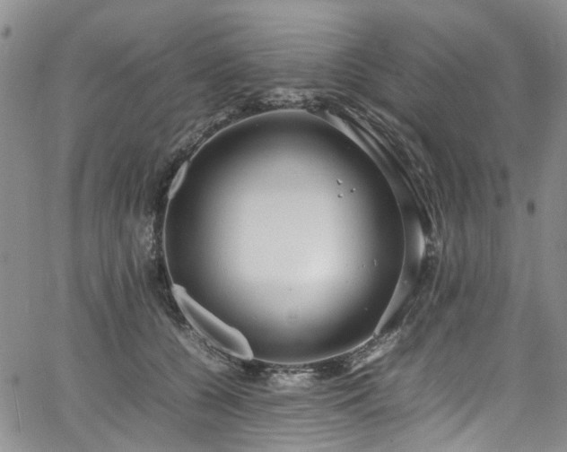 X0000064750560200602101215