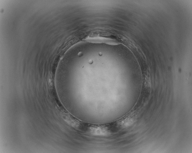 X0000064750561200602101215