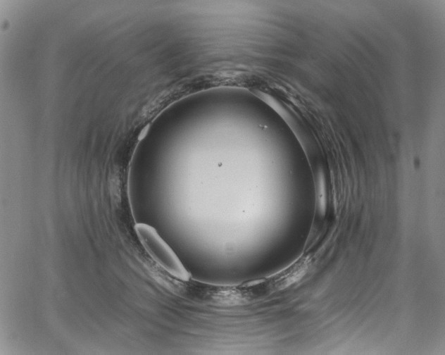 X0000064750562200602101216