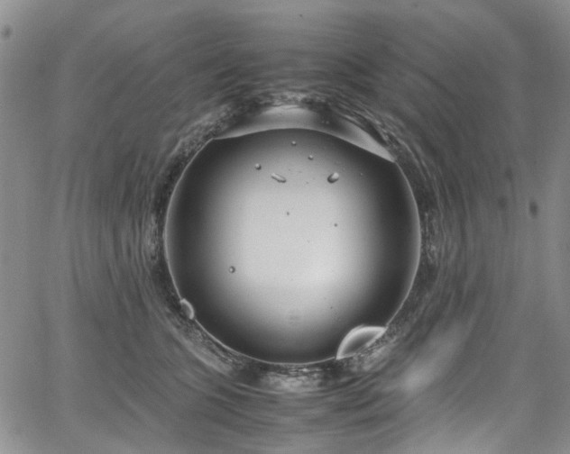 X0000064750563200602101216