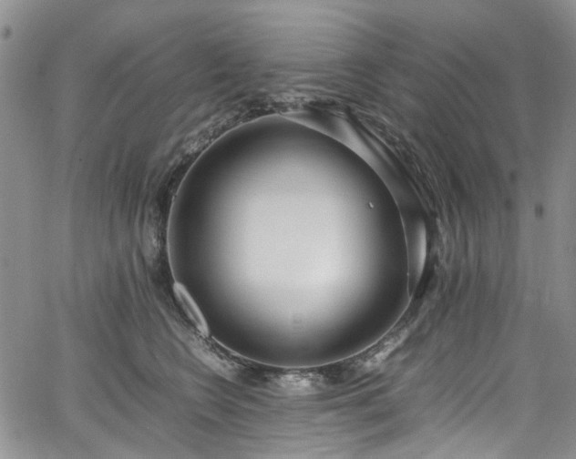 X0000064750566200602101216