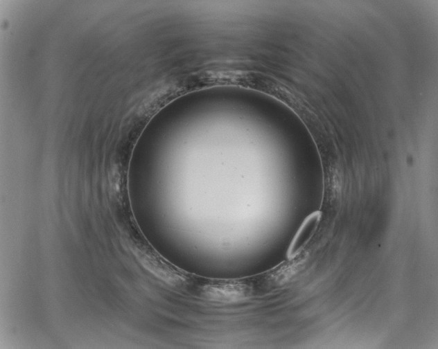 X0000064750567200602101216