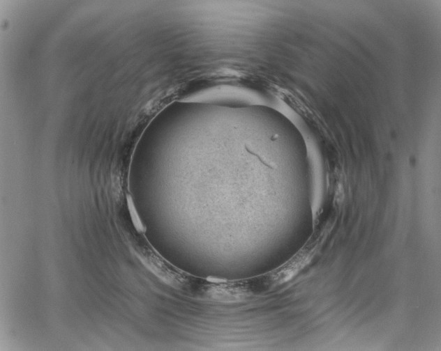 X0000064750568200602101216