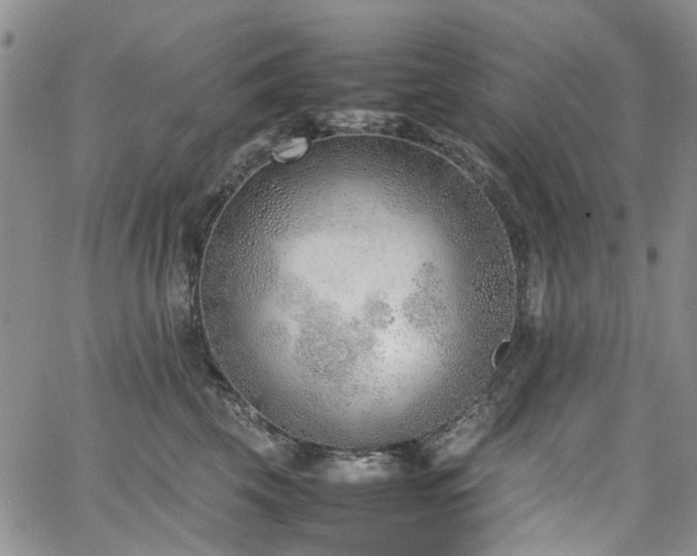 X0000064750569200602101216