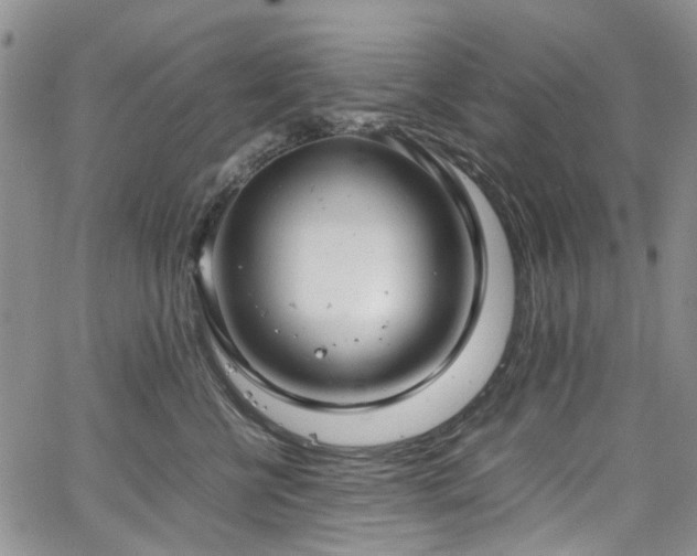 X0000064750570200602101216