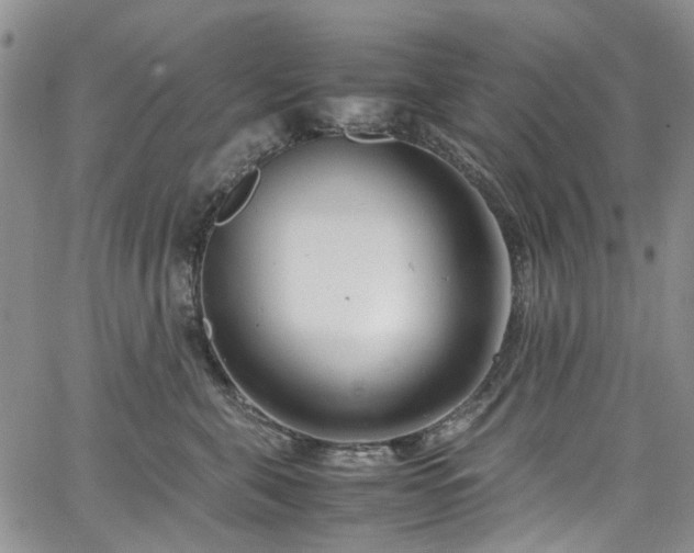 X0000064750571200602101216