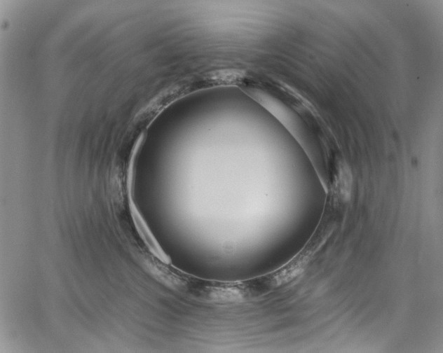 X0000064750572200602101216