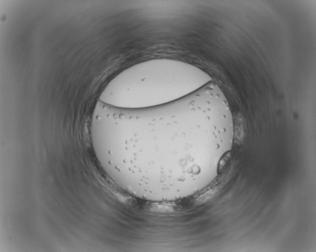 X0000064750573200602101216