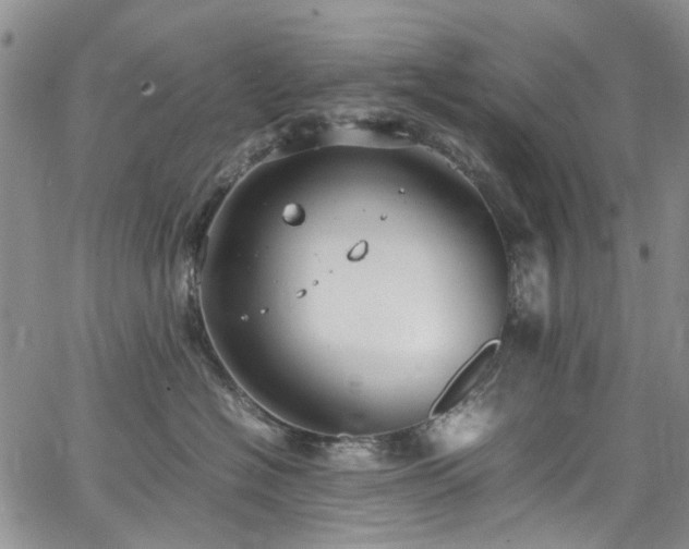 X0000064750574200602101216