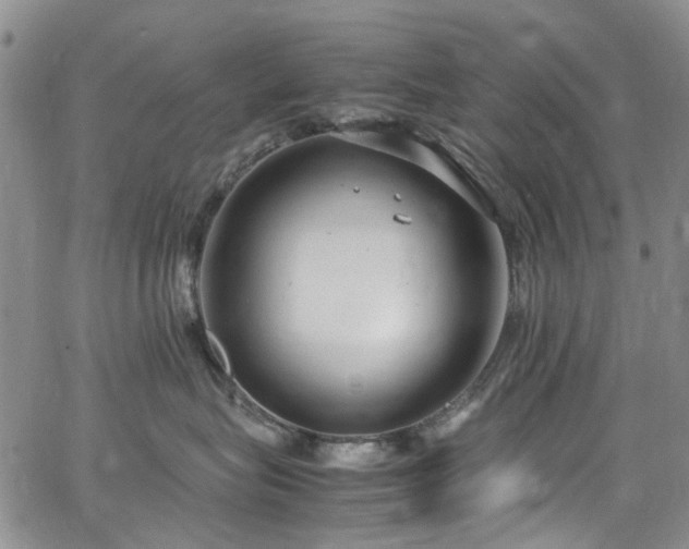 X0000064750575200602101216