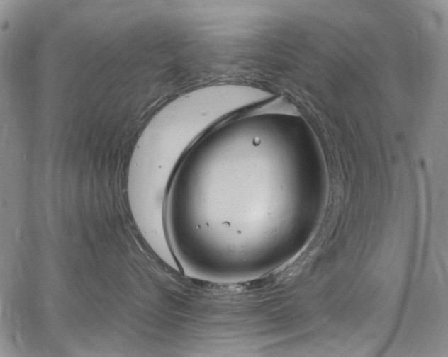 X0000064750576200602101216