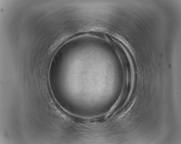 X0000064750577200602101215