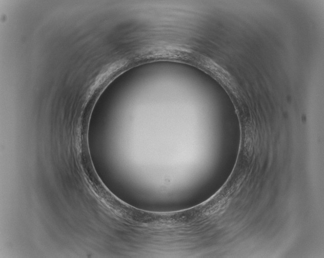 X0000064750578200602101215