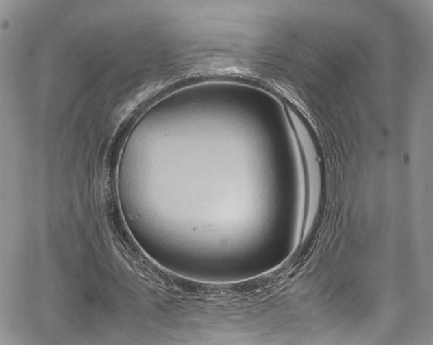 X0000064750579200602101215