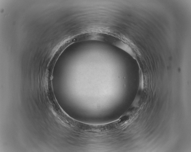 X0000064750580200602101215