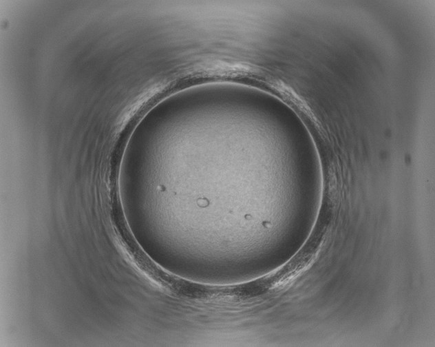 X0000064750581200602101215