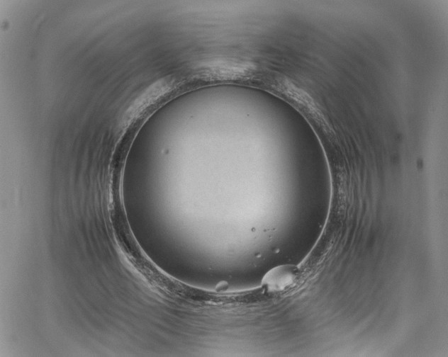 X0000064750582200602101215