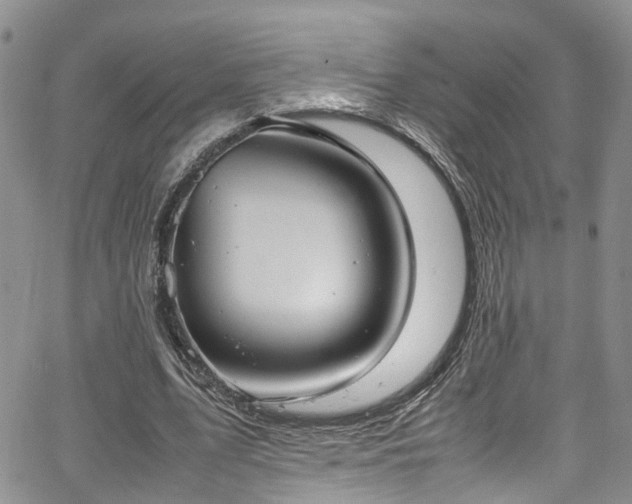 X0000064750583200602101215