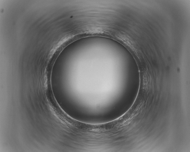 X0000064750584200602101215