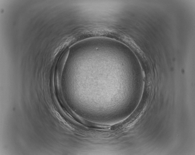 X0000064750585200602101215