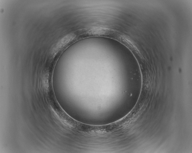 X0000064750586200602101215