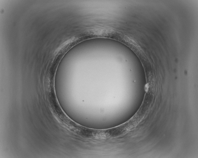 X0000064750587200602101215