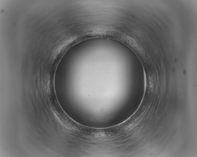 X0000064750588200602101215