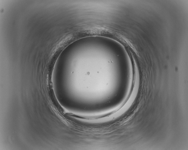 X0000064750589200602101215