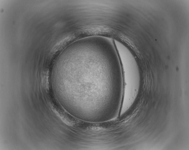 X0000064750590200602101215