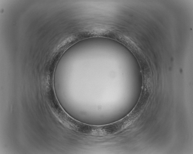 X0000064750591200602101215