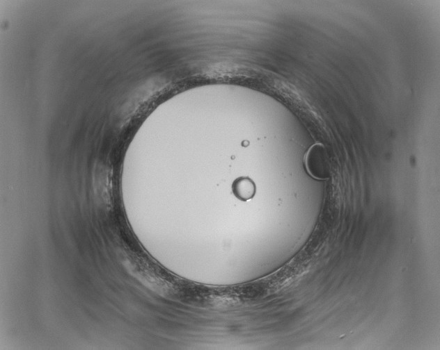 X0000064750592200602101215