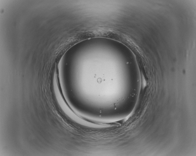 X0000064750593200602101215