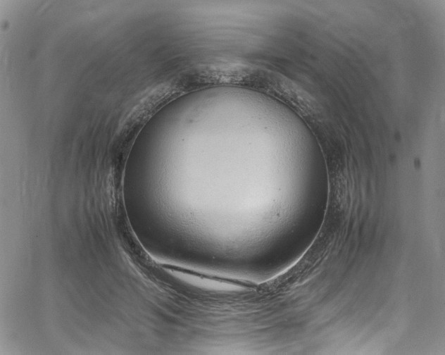 X0000064750594200602101215