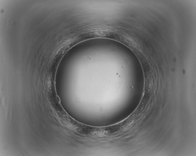 X0000064750595200602101215