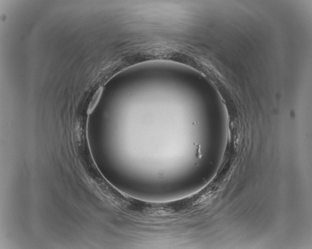 X0000064750597200602101215