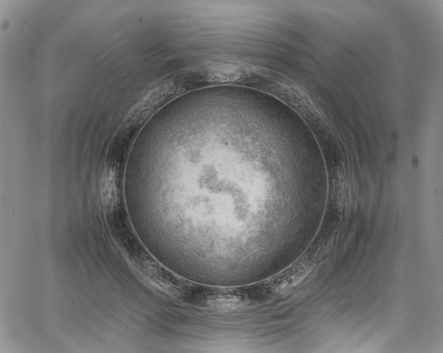 X0000064750598200602101215