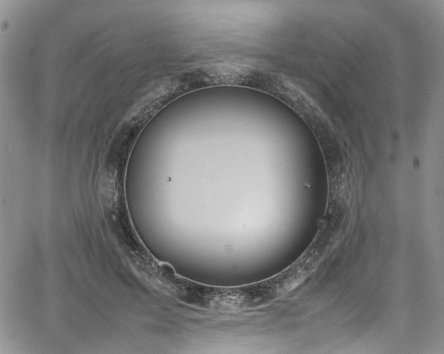 X0000064750599200602101215