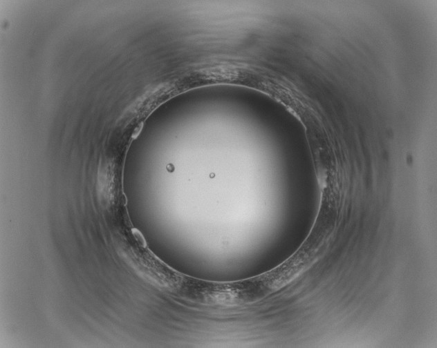 X0000064750600200602101215