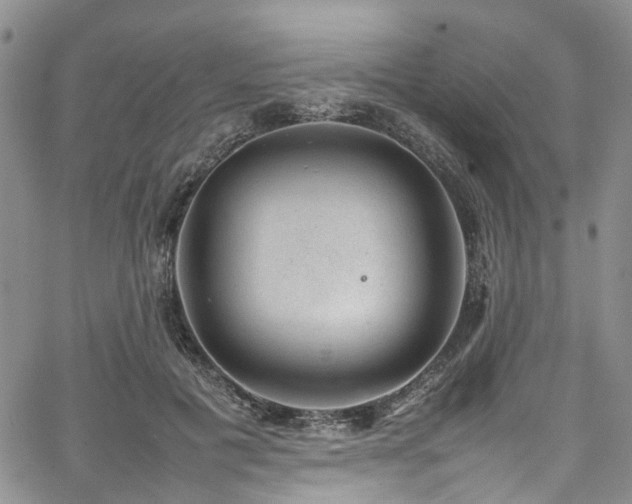 X0000064750601200602101215