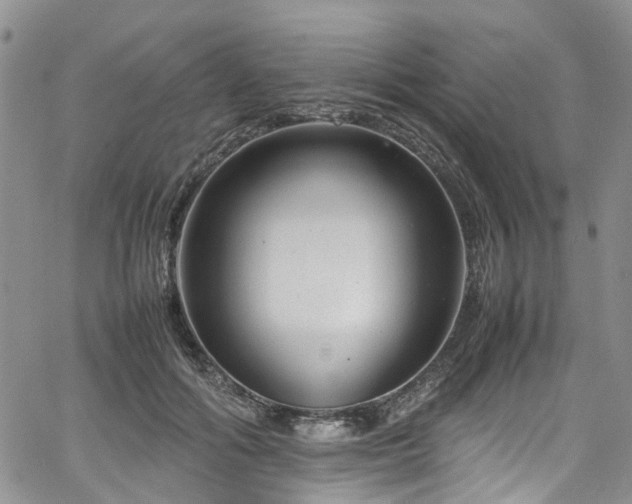 X0000064750602200602101215