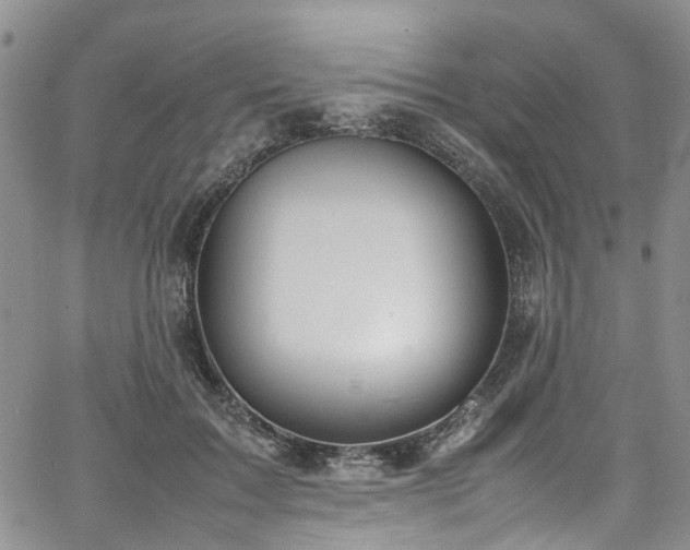 X0000064750603200602101215