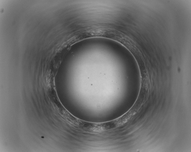 X0000064750604200602101215