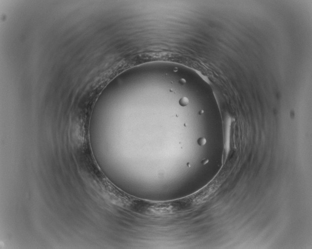 X0000064750606200602101214